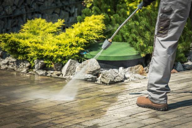Best Dumpster Area Cleaning  in Thousand Oaks, CA