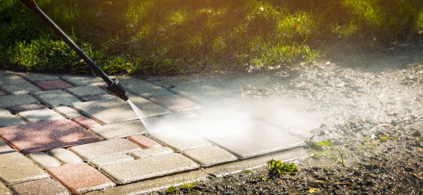 Best Animal Enclosure Cleaning  in Thousand Oaks, CA